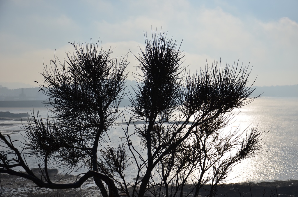 2016-12 France/St Malo/DSC_1068.JPG